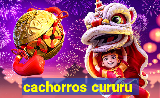 cachorros cururu